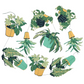Houseplant Vertical Wall Hanging garland image