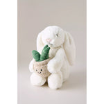 Plush toy rabbit holding a small plant on a plain background