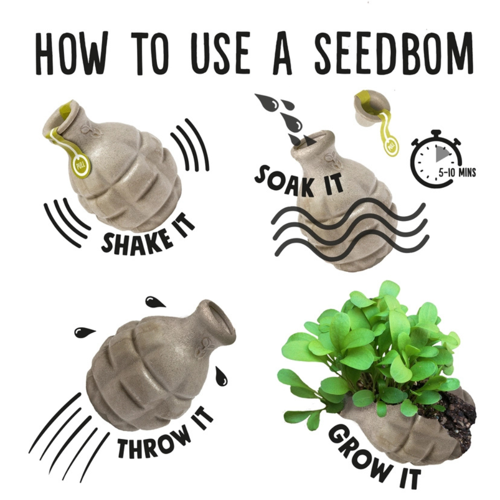 Seedbom instructions
