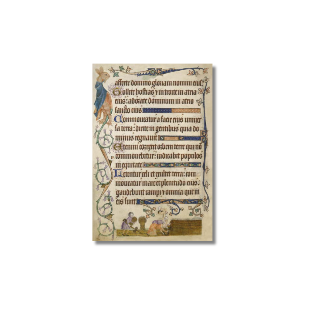 Luttrell Psalter Magnet