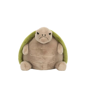 Timmy Turtle