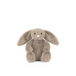 Stuffed bunny toy on a white background