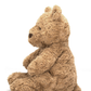 Brown teddy bear sitting on a white background