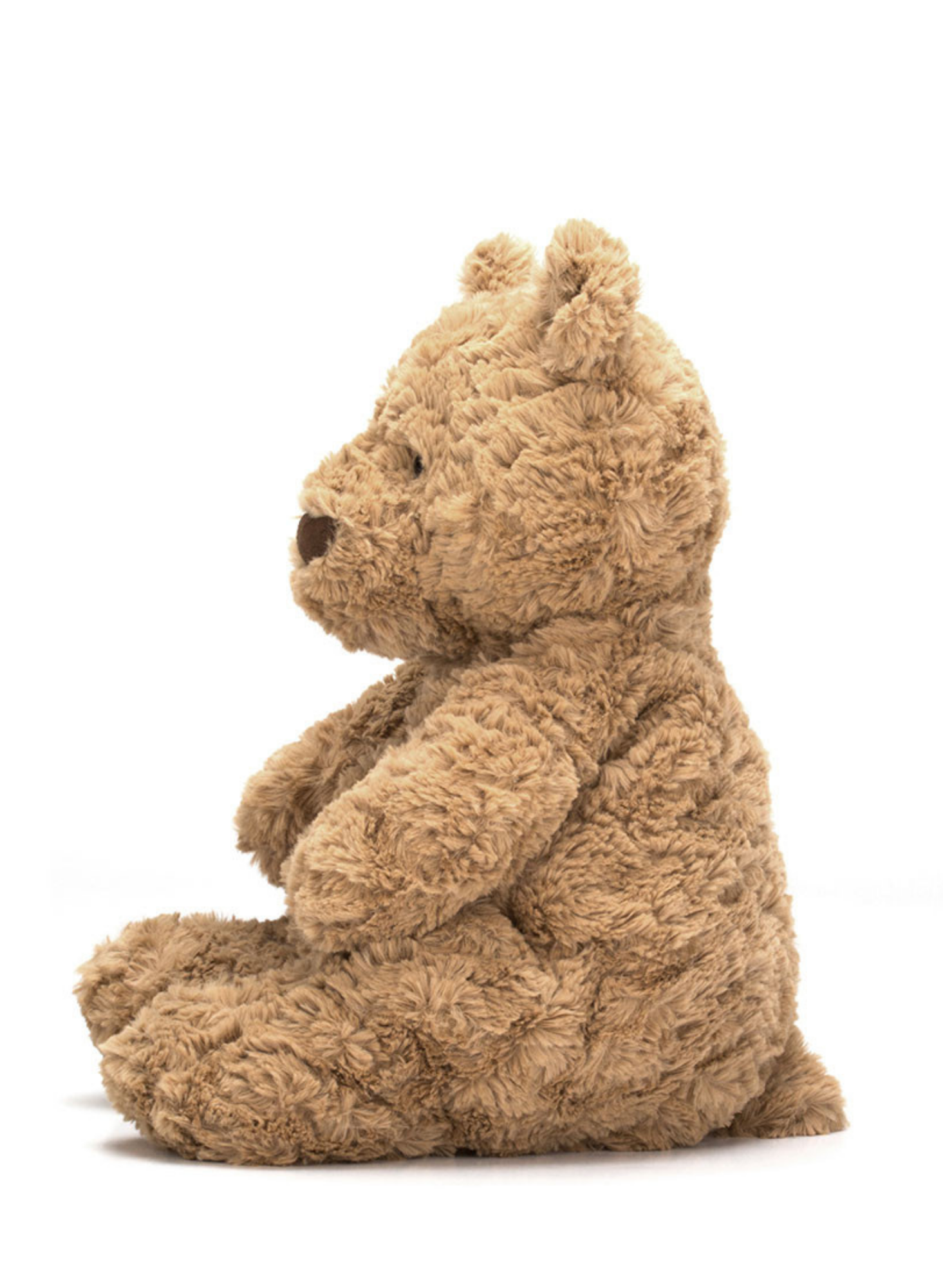 Brown teddy bear sitting on a white background