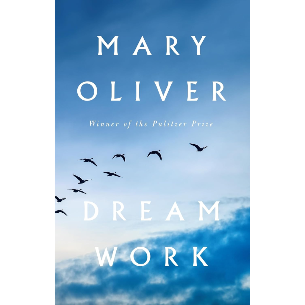 Dream Work (Hardback)