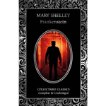 Book cover of 'Frankenstein' by Mary Shelley with a silhouette in a frame.