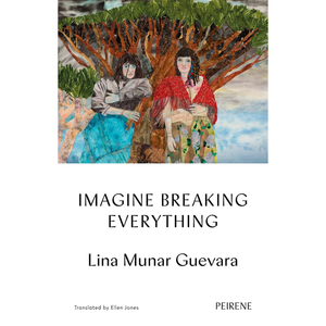Imagine Breaking Everything Paperback – 10 Nov. 2025
by Lina Munar Guevara (Author), Ellen Jones (Translator)