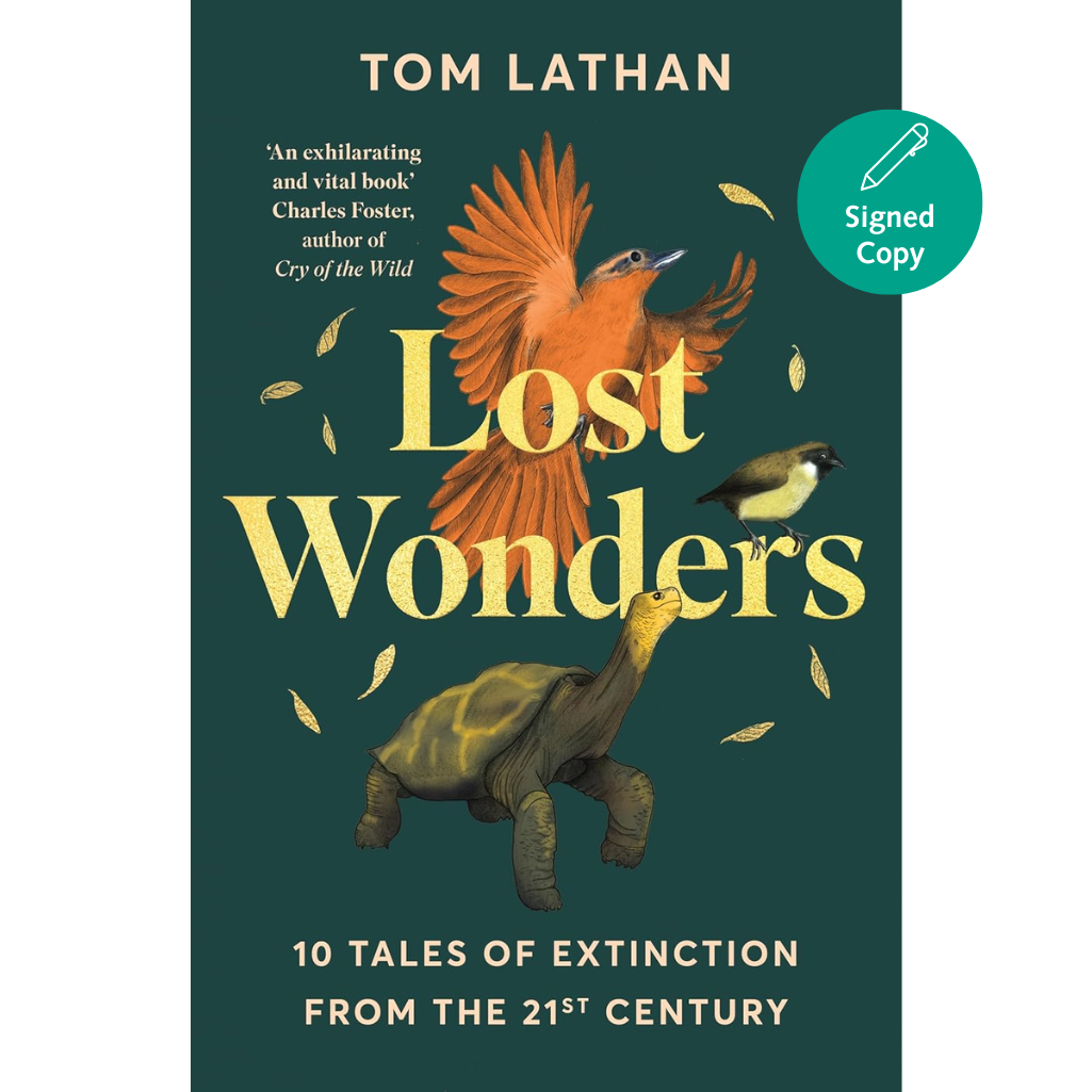 Lost Wonders: 10 Tales of Extinction from the 21st Century (Paperback)
