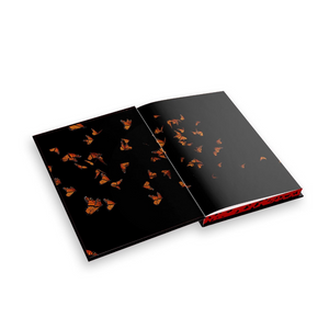 Decorative End Papers