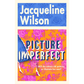 Picture Imperfect (Hardback)