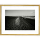 People on shingle beach