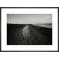 People on shingle beach