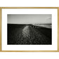 People on shingle beach