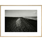 People on shingle beach