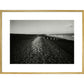 People on shingle beach