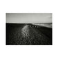 People on shingle beach