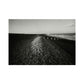 People on shingle beach