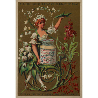 Advert for Liebeg Company Print