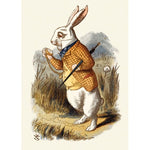 White Rabbit Card