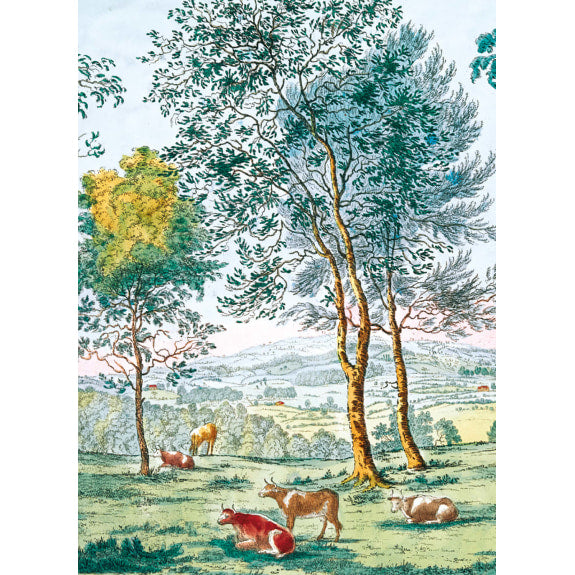 View from Dynevor Castle Card
