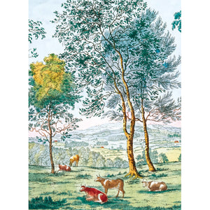 View from Dynevor Castle Card