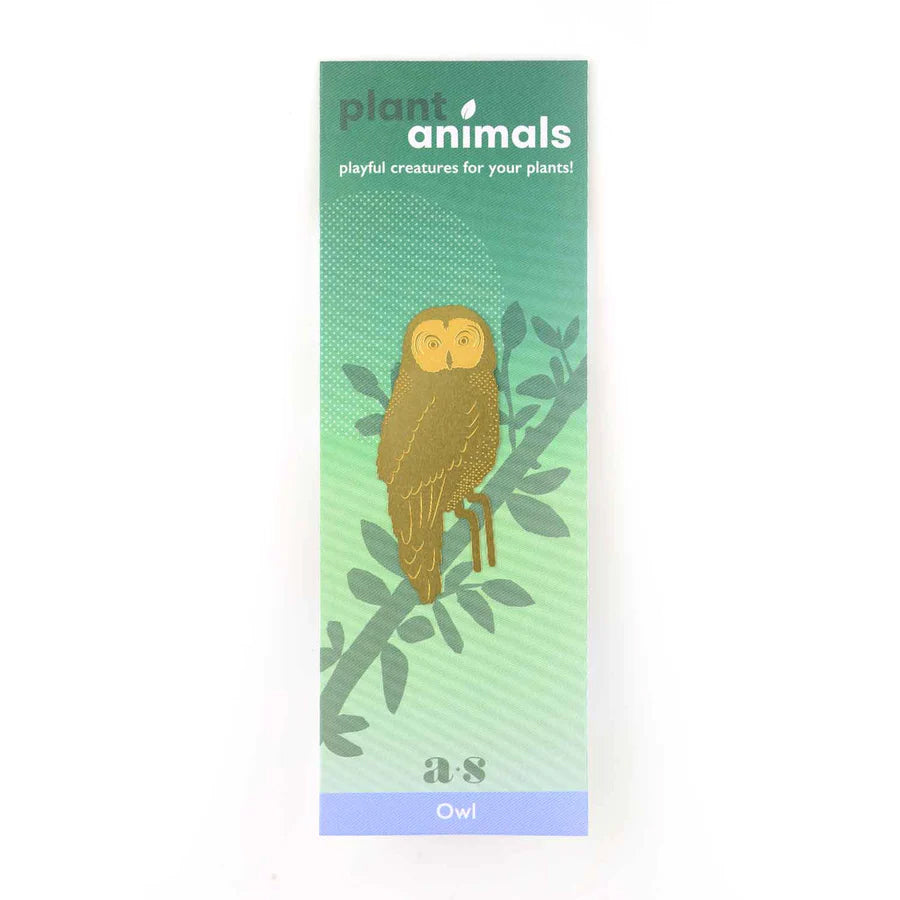 Owl Plant Animal in packaging
