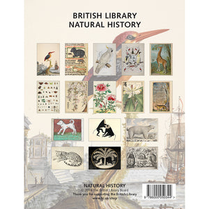 Natural History Postcard Pack back reverse packaging