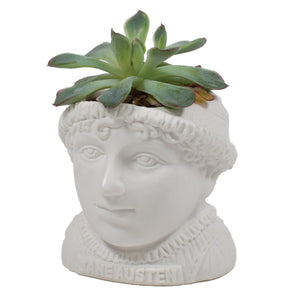 Image of Jane Austen Planter 