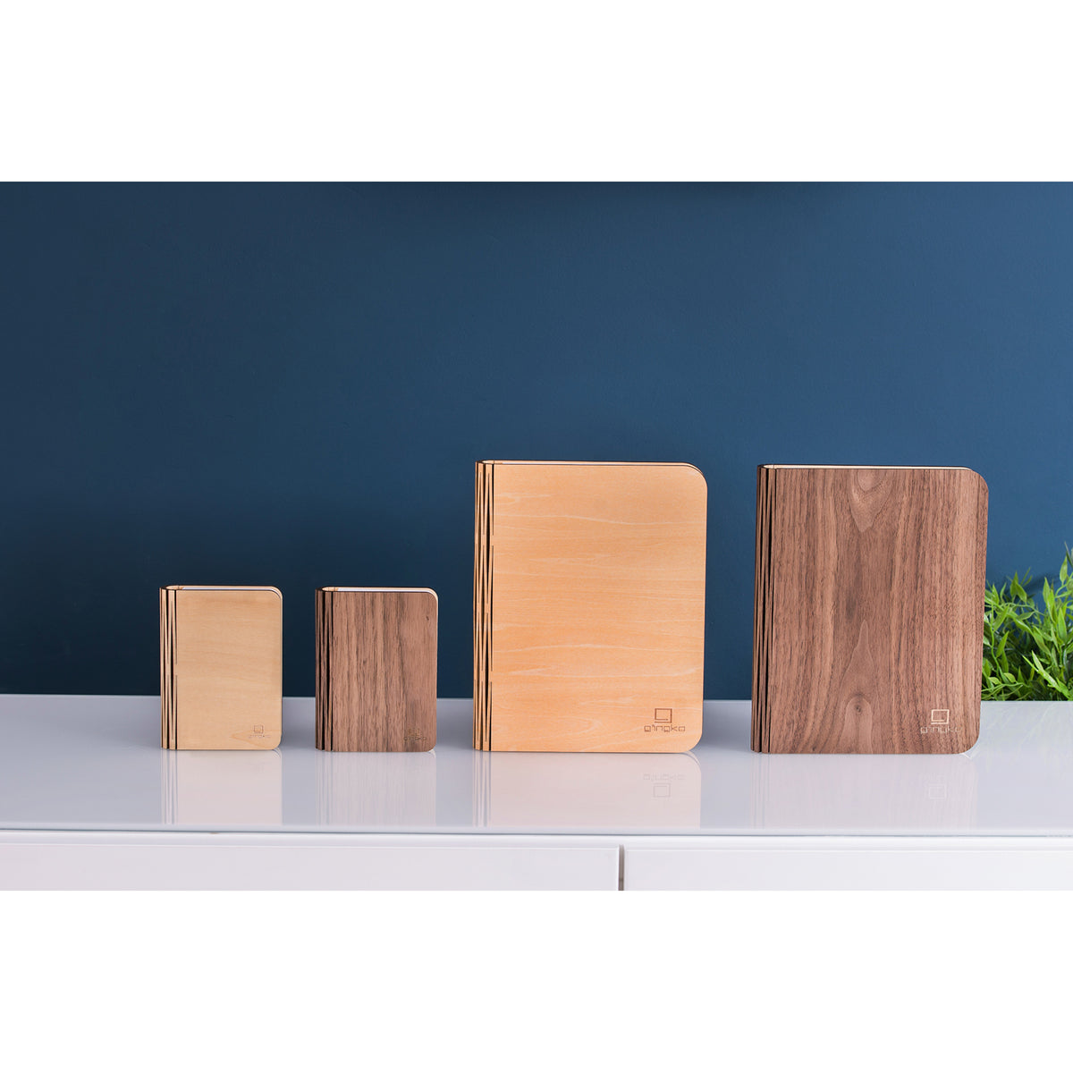 Smart Book Light Maple Mini with other variants, group shot