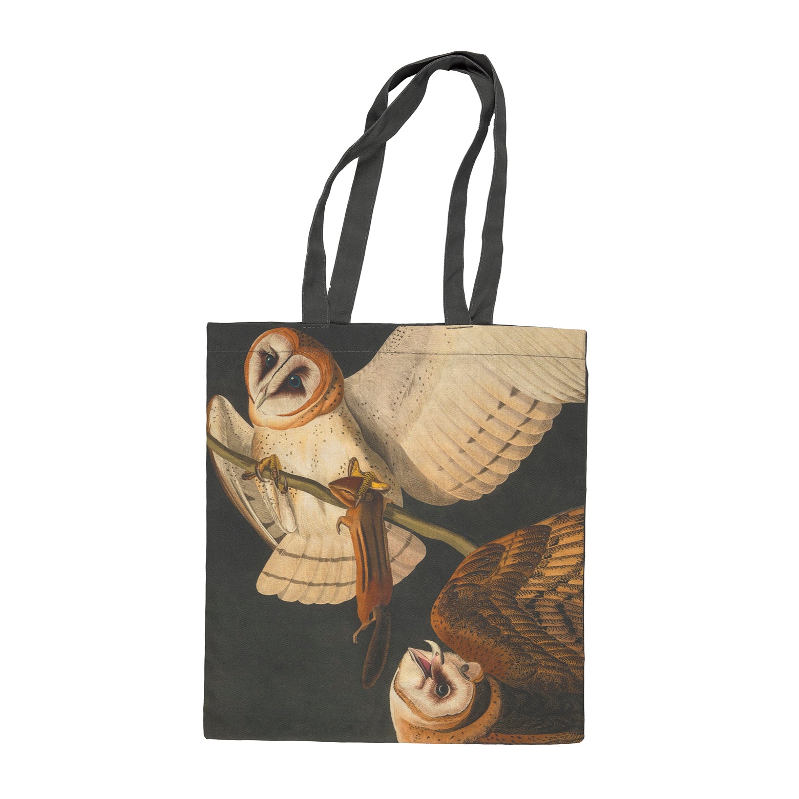 American Barn Owls Cotton Tote on white background