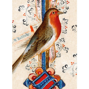 Robin Marginal Drawing Card