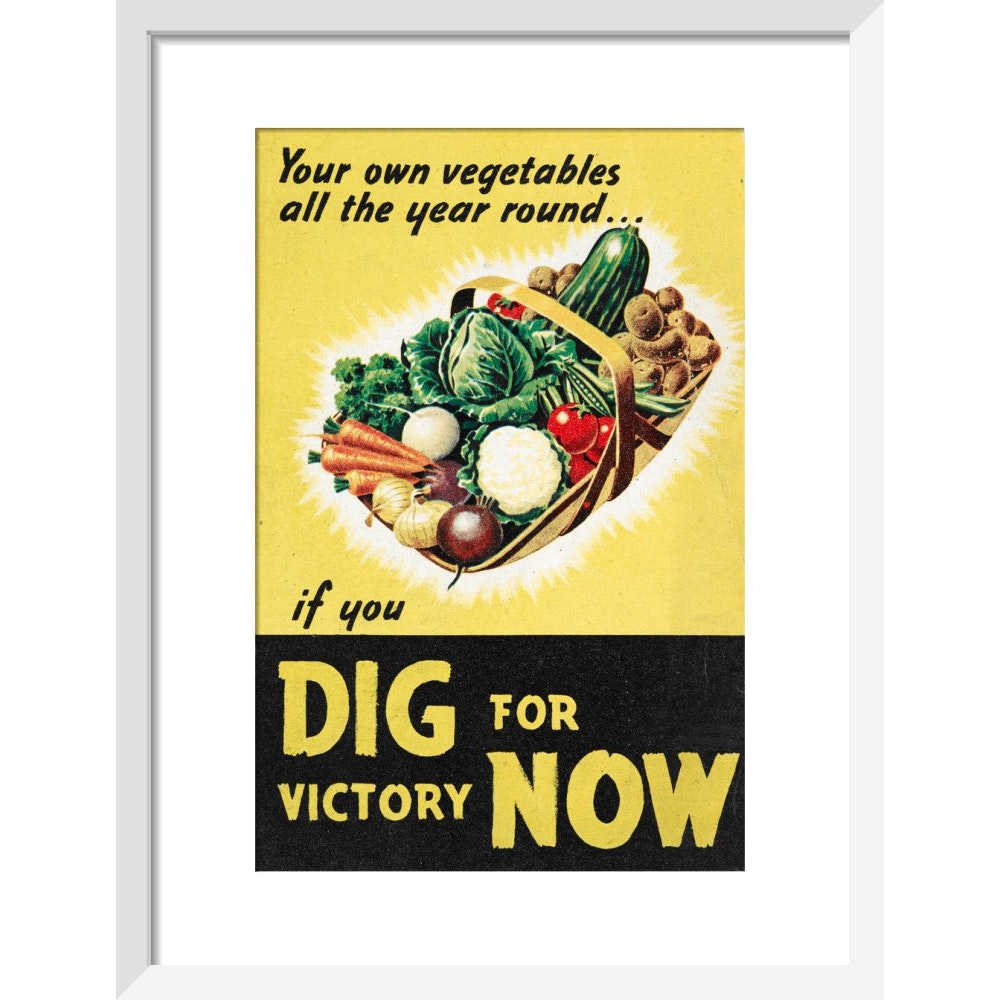 Dig for Victory Now print in white frame