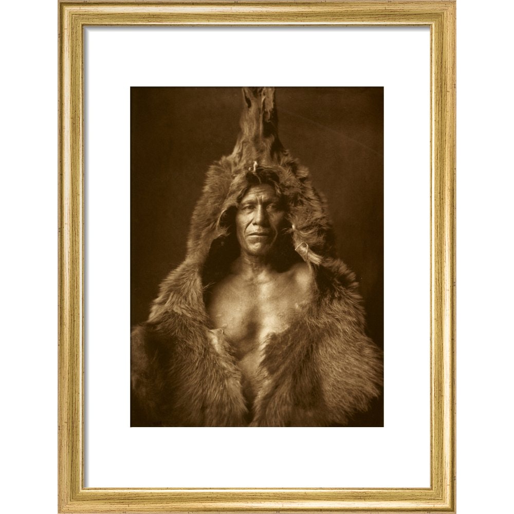 Bear's Belly - Arikara print in gold frame