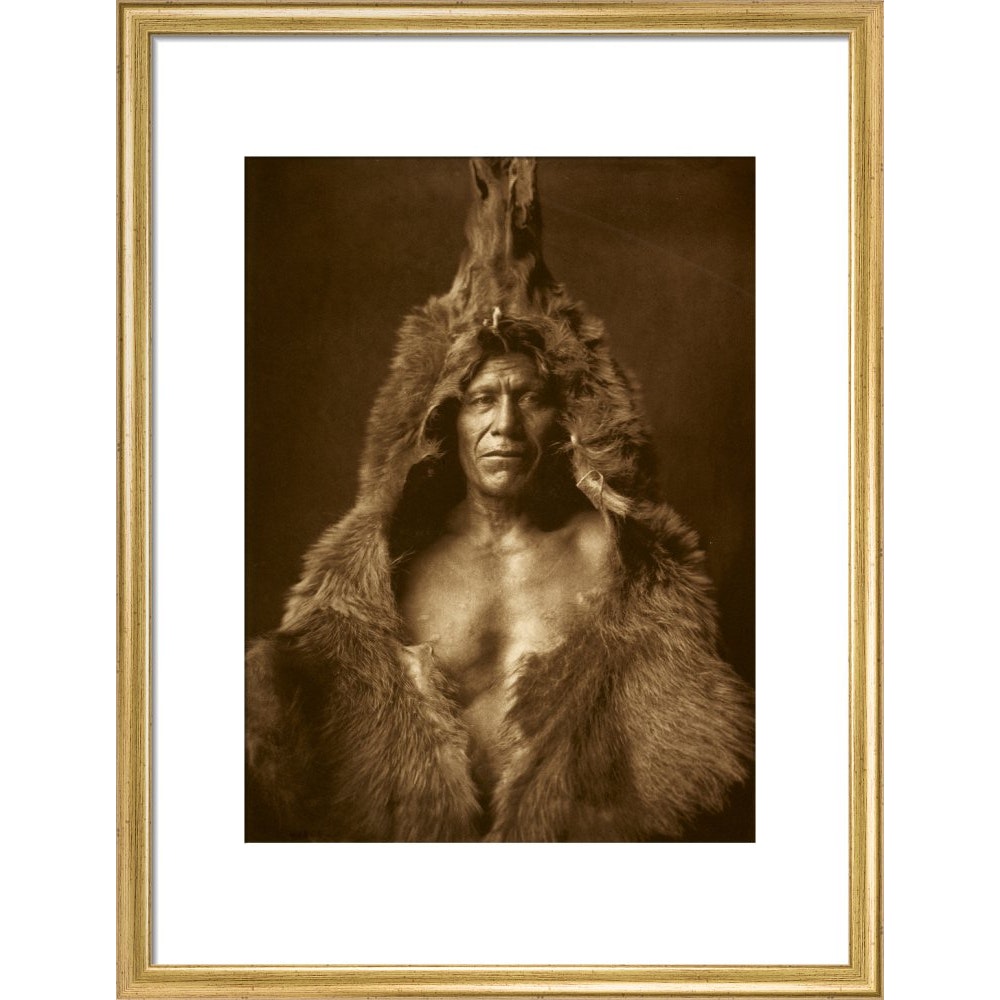 Bear's Belly - Arikara print in gold frame
