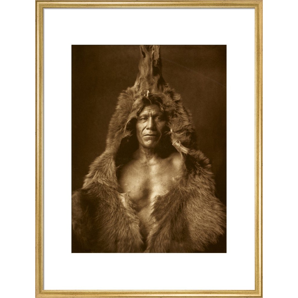 Bear's Belly - Arikara print in gold frame