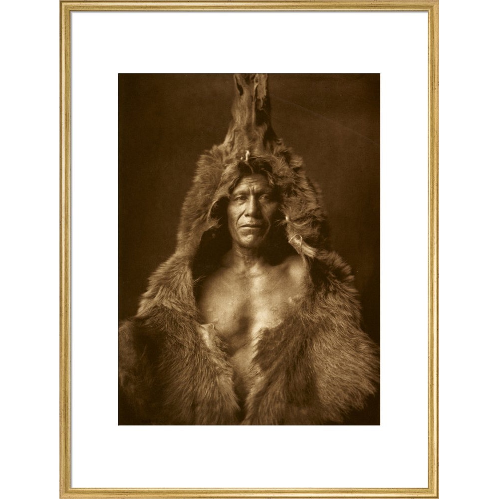 Bear's Belly - Arikara print in gold frame