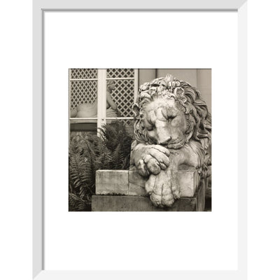 Chatsworth Lion print in white frame