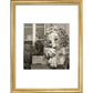 Chatsworth Lion print in gold frame