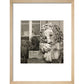 Chatsworth Lion print in natural frame