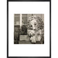 Chatsworth Lion print in black frame
