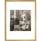 Chatsworth Lion print in gold frame