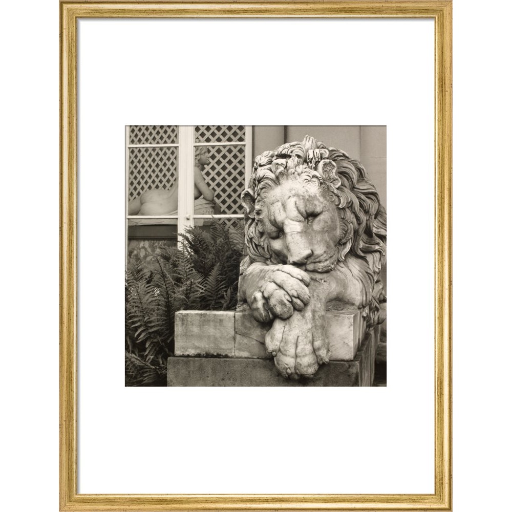 Chatsworth Lion print in gold frame