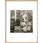 Chatsworth Lion print in natural frame