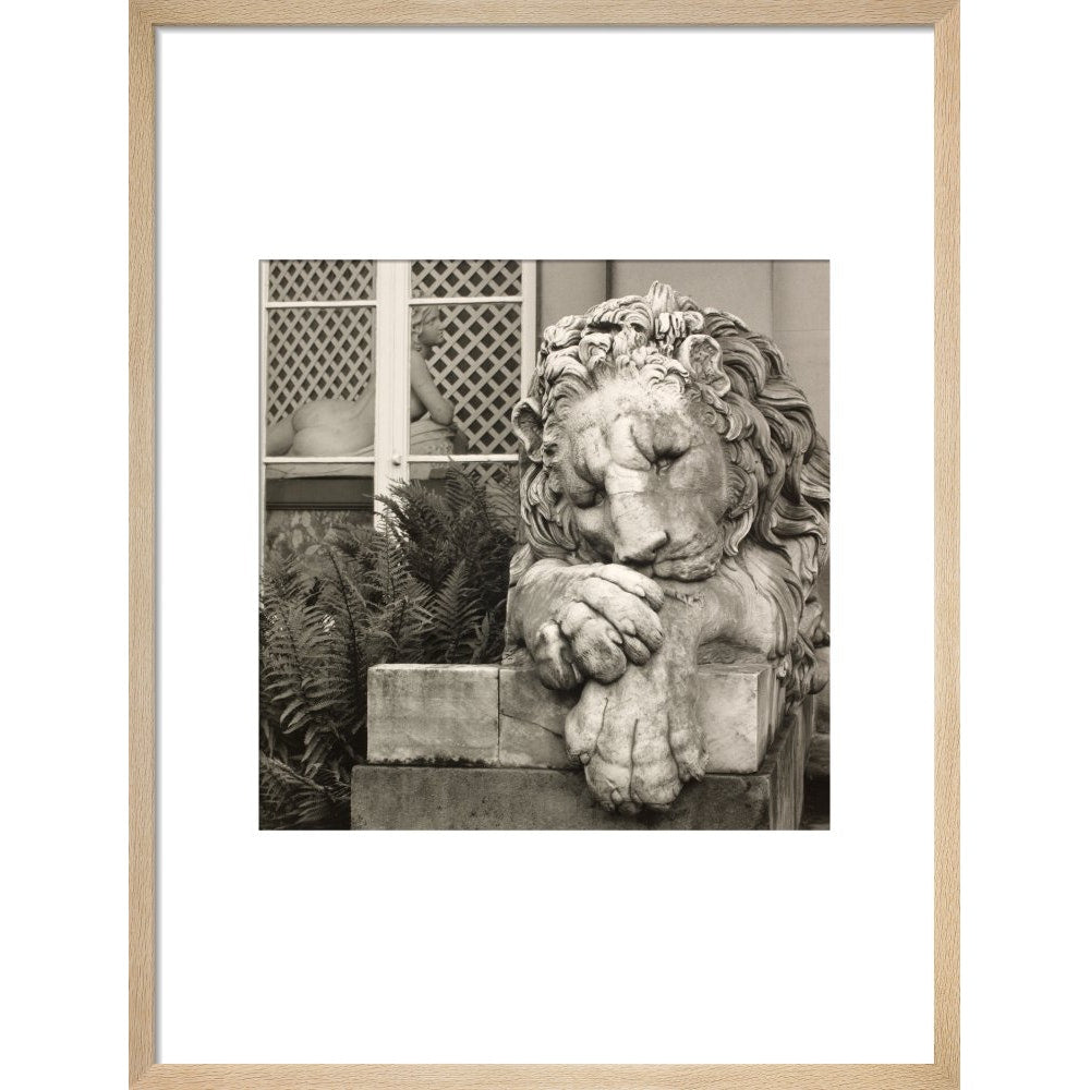 Chatsworth Lion print in natural frame