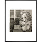 Chatsworth Lion print in black frame