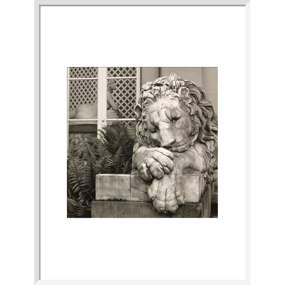 Chatsworth Lion print in white frame