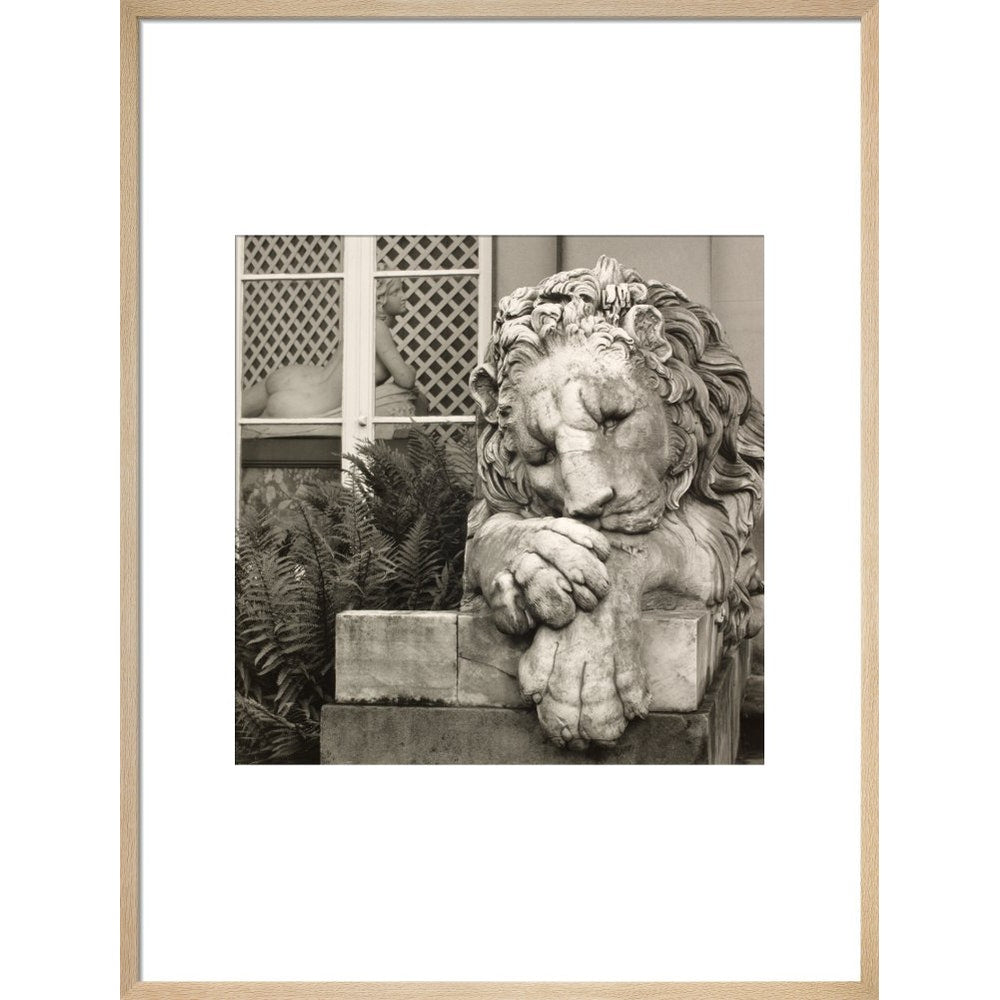 Chatsworth Lion print in natural frame