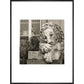 Chatsworth Lion print in black frame