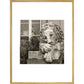 Chatsworth Lion print in gold frame