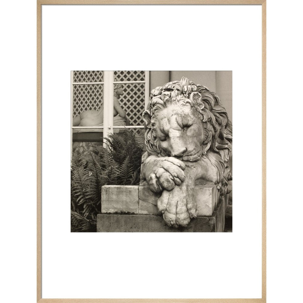 Chatsworth Lion print in natural frame